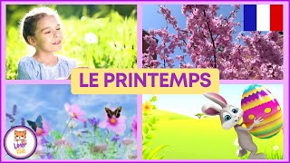 LE PRINTEMPS POUR LES ENFANTS EN FRANÇAIS  Apprendre le vocabulaire [upl. by Brenna459]