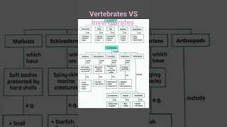 Vertebrates VS Invertebrates biology science vertebrates [upl. by Mungovan]