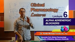 Autonomic Pharmacology Ar  Lec 06  Alpha adrenergic blockers [upl. by Elvera]