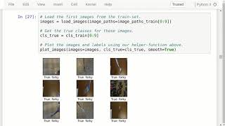 TensorFlow Tutorial 10 FineTuning [upl. by Dijam]