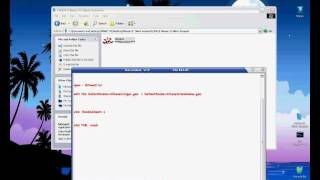 how to activate cheats codes Hitman 2 Silent Assassin  crack [upl. by Iur]