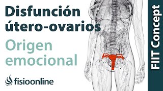 Origen emocional de la disfunción de útero  ovarios [upl. by Ayanaj]