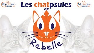 REBELLE – PARTIE 2 – UNE CHATL’HEUREUSE RENCONTRE [upl. by Aseuqram]