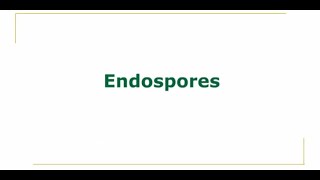 Endospores [upl. by Assilat769]