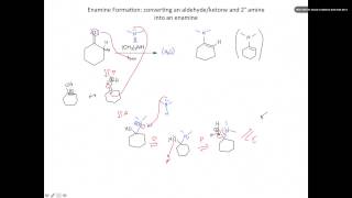 Enamine formation [upl. by Euqinwahs498]