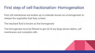 CELL FRACTIONATION For AQA Edexcel OCR A Level Biology [upl. by Nanek]