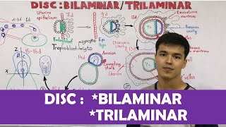 Embryology  DISC Bilaminar  Trilaminar [upl. by Baalman525]