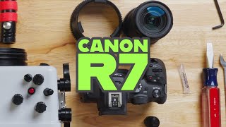 Canon R7  Underwater Housing Assembly Ikelite 200DLM [upl. by Anital]