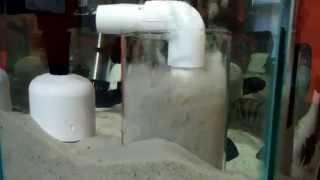 DIY Aquarium Filter with FSB Fluidized Sand Bed [upl. by Prudy506]