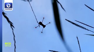 Drones Helping Communities In Burundi Farms Protect Wildlife  Eco Africa [upl. by Adigun]