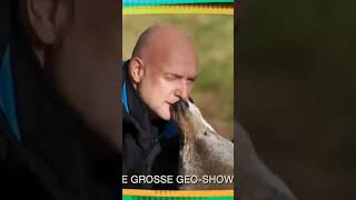 TV Total Nippel  Frank Buschmann knutscht Wolf  Buschi küsst Wolf  Tierischer Kussekelig ihh [upl. by Rehctelf]