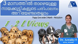 Puppy Care below 3 Months  Malayalam  Dr Aswathy  Dog Care 1  Anything About Animals [upl. by Ailema231]