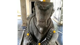 Nandhi Vigraha  Kalleshvara Temple Aralaguppe in Karnataka India [upl. by Aleyak]