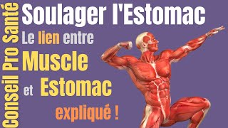 Soulager lESTOMAC Partie 3 par activation musculaire [upl. by Ettezyl]