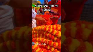 Chhath Puja status Chat Puja Bajpur Chat puja ka status videoshortvideo viralvid [upl. by Tybald640]