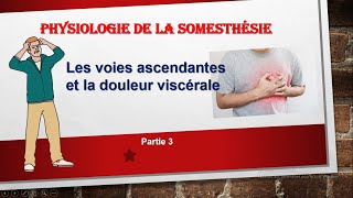 physiologie de la douleur viscérale quotsomesthésie 03quot [upl. by Ateval]