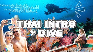 Thai Intro  Dive 🐠🪸  INTRO Travel [upl. by Irah232]