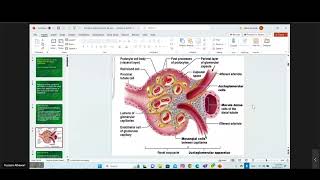 Introduction To Nephrology [upl. by Htinnek185]