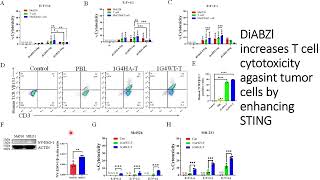 DiaBZl increases Tcell cytotoxicity against tumor cells by STING Code 699 [upl. by Ocramed]