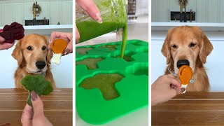 How to Make Healthy Dog Treats ASMR [upl. by Raddi]