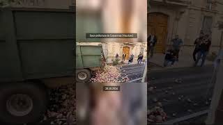 🚜 🇫🇷 Navets infestés devant la souspréfecture de Carpentras JA FDSEA 29102024  MonCarnivore 🥩 [upl. by Belloir362]