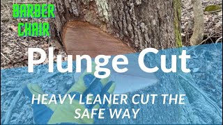 Plunge Cut Trigger How to safely cut a heavy leaner [upl. by Horowitz]