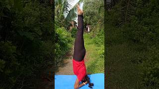 Headstend Shirshasana yoga new video yogagirl followme musicvideo fitness youtubevideo [upl. by Hoxie]