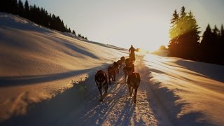 Souvenirs partagés… avec un musher aux Saisies [upl. by Enner56]