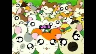 letra de hamtaro [upl. by Ezaria]