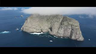 Diving in Malpelo Colombia 06072023 [upl. by Mitzie]