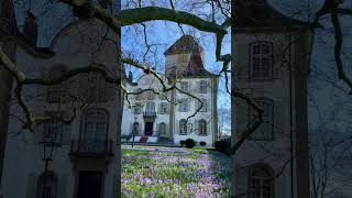 This is what spring feels like in Switzerland spring switzerland schloss Jegenstorf [upl. by Brace]