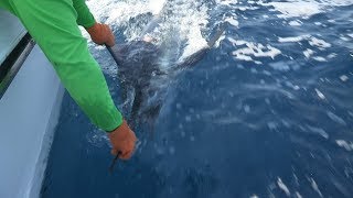 Baja Tuna Marlin amp Beach Fishing [upl. by Saticilef]