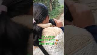 Jim Corbett Popat ho gaya jimcorbett tiger forest junglesafari [upl. by Crudden]