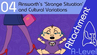 Ainsworth’s ‘Strange Situation’  Attachment ALevel Psychology [upl. by Ardnossak]