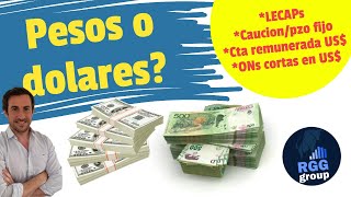 💥DOLAR O PESOS💥El que apuesta al peso GANA Alternativas en pesos y dolares ✅Analisis de Riesgo [upl. by Livy742]