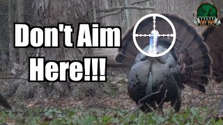 YOURE AIMING WRONG Turkey Shot Placement  Shotgun Turkey Hunting [upl. by Milla475]