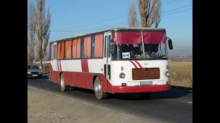 Autobuze RomanestiO istorie de neuitat😮 [upl. by Immas]