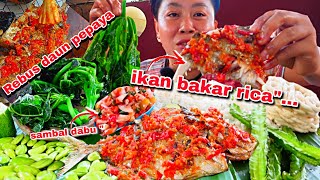 IKAN BAKAR RICARICA  SAMBAL DABUquot REBUS DAUN PEPAYA ENAKNYA 🤤🤤 [upl. by Eiralav]