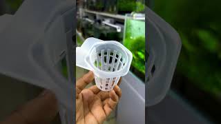 Plant cultivation cup for terrestrial plant [upl. by Casie39]