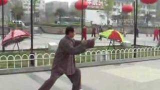 Zhao Bao Taijiquan  Labakou Jia čµµĺ ˇĺ¤Şćžć‹ł  ĺ–‡ĺŹ­ĺŹŁćž¶ [upl. by Anidnamra912]