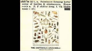 The Chitinous Ensemble 1971 quotAldebaranian Songquot [upl. by Niltiac351]