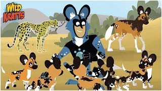 Wild Kratts Cats and Dogs Cheetah sticker vs Jackal sticker and Martin sticker  Wild Kratts Games [upl. by Teagan]