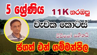 වැවක කොටස්  Wawaka Kotas  Parts of a Lake  Jagath N Gammanpila  Grade 5Ape Panthiya  Yuthukama [upl. by Latterll]