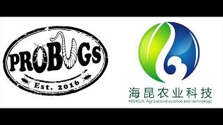 【チャーム】Probugs Feeds Breeding amp Processing Facility Eco Fresh Insects プロバグズ 真空生昆虫 [upl. by Anniahs509]