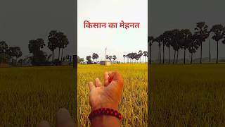 Aisa des hai mera  kisan farming trending ytshorts shorts DharmveerVlogs12 [upl. by Gunar]