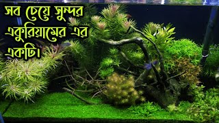 Aquarium design  aquarium price in bangladesh  planted aquarium design ideas  plantedtank [upl. by Hsara]