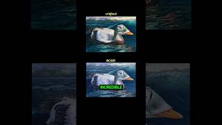 DUCK STAMP ENTRIES ARE OUT 🦆 duckstamp artcontest [upl. by Eilrak]