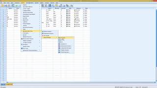 SPSS  Chi Squared Test k independent samples nominal [upl. by Hnilym335]