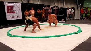 Strongman vs Sumo [upl. by Perni49]