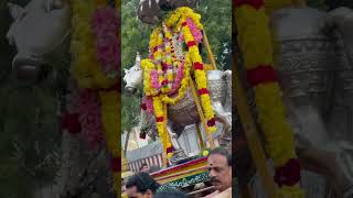 Pradosham dharshan  Agatheeswarar temple🛕  Villivakkam 🙏🏻 [upl. by Benioff]